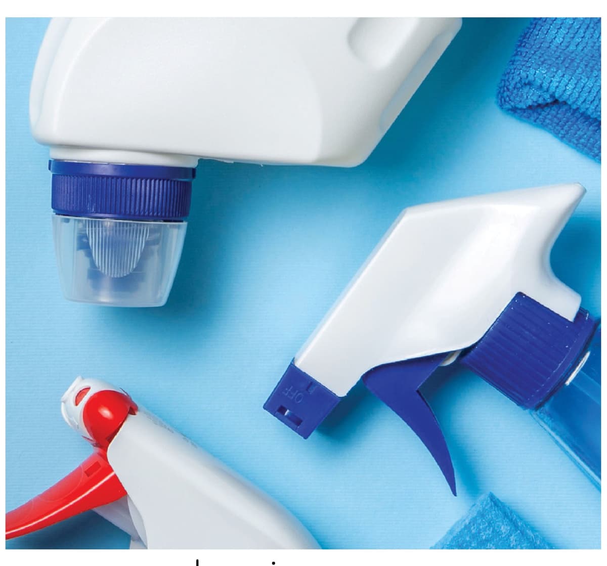 EcoGreen Cleaning supplies